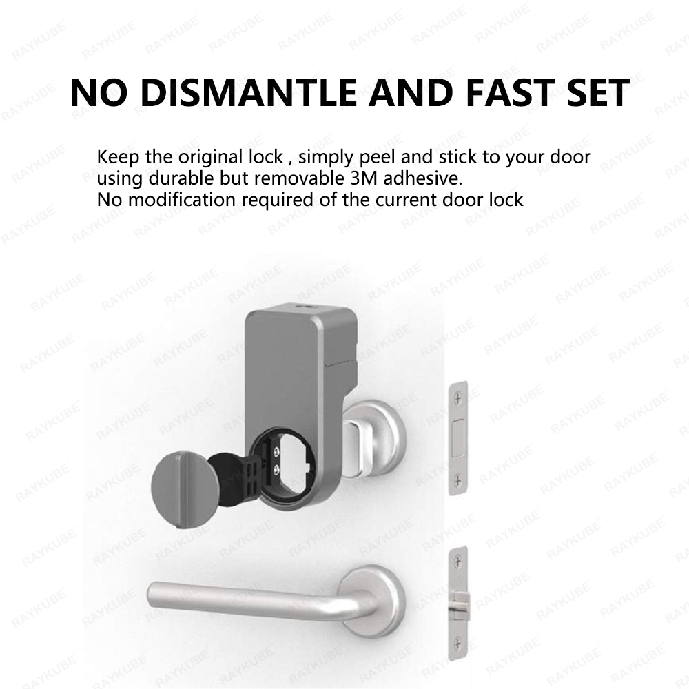 RAYKUBE A1 Pro Tuya BEL Smart  - Home Security Door Lock reseña y precio