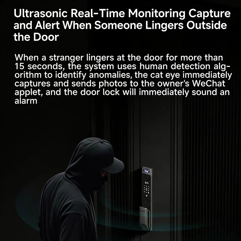 Sharp S5-FV Fully Automatic Sm - Home Security Door Lock reseña y precio