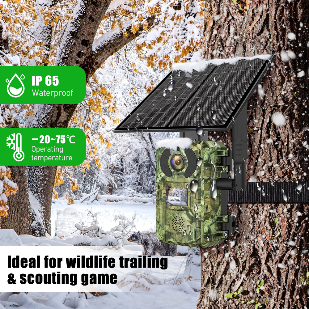 EU Band 4G Cellular LTE Live V - Home Security Tools reseña y precio