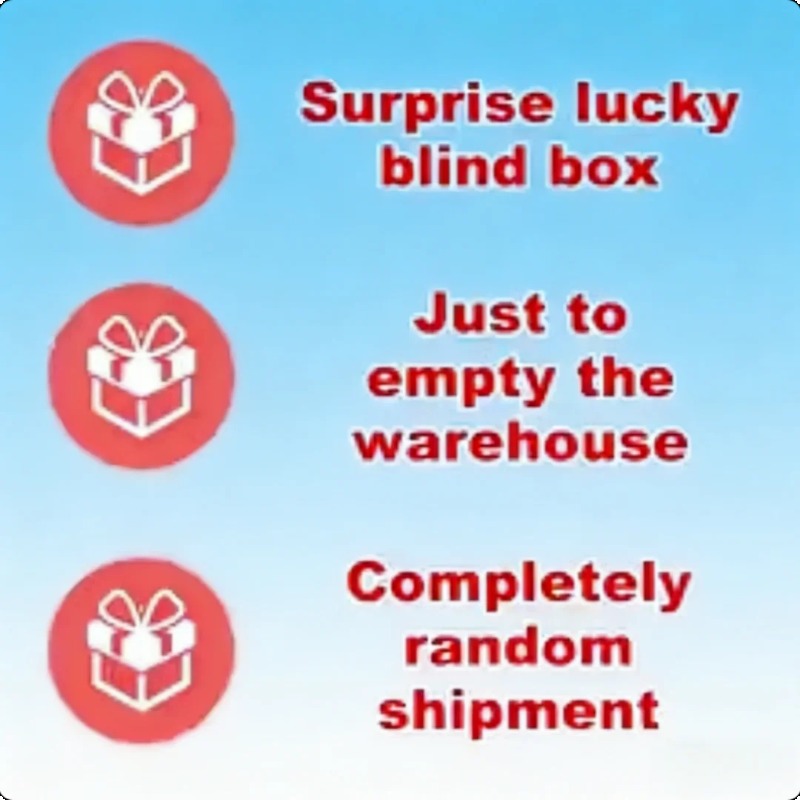 Daily Supplies Surprise Blind  - Home Security Box reseña y precio
