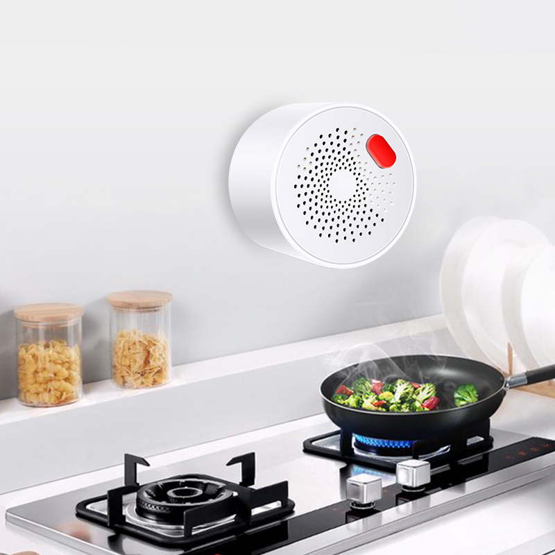 Tuya Smart Home Wifi Natural G - Home Security Tools reseña y precio