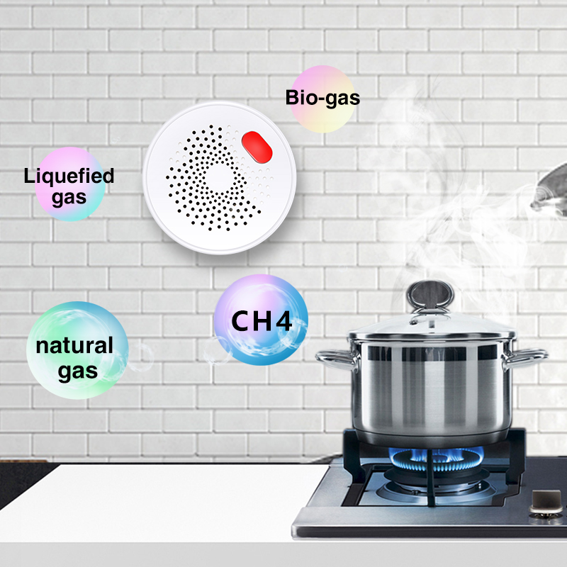 Tuya Smart Home Wifi Natural G - Home Security Tools reseña y precio